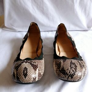 Cole Haan Python Skin Color Elastic Ballet Flats